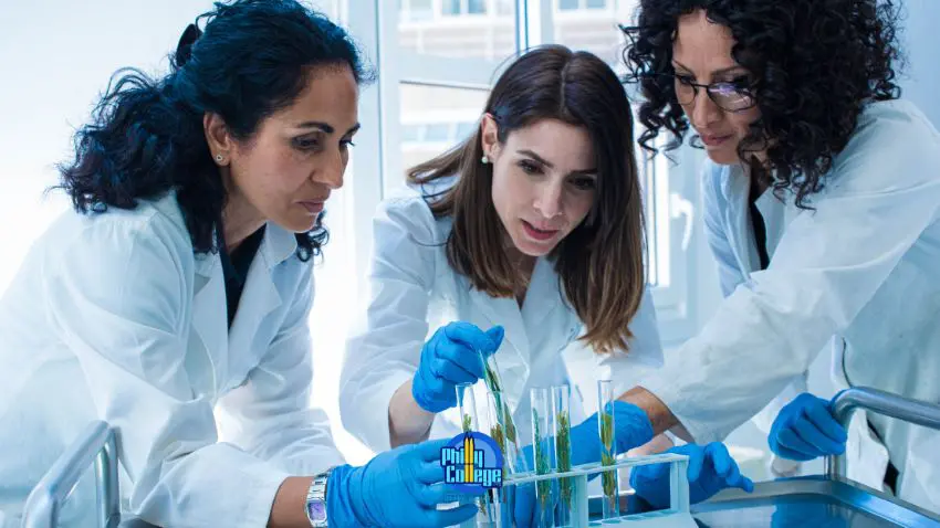 three people in lab coats looking at plants