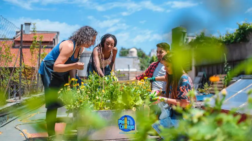 a group of people working on a rooftop garden