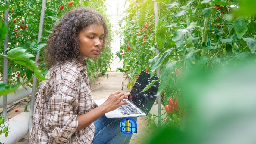 a person is working on their laptop in a greenhouse