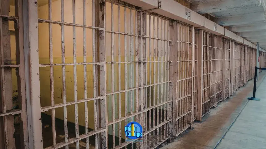 A row of jail cells with barred doors and yellow walls, seen from a walkway.
