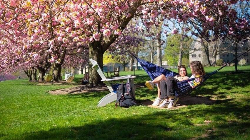 Two women students studying in a hammock on Bryn Mawr campus