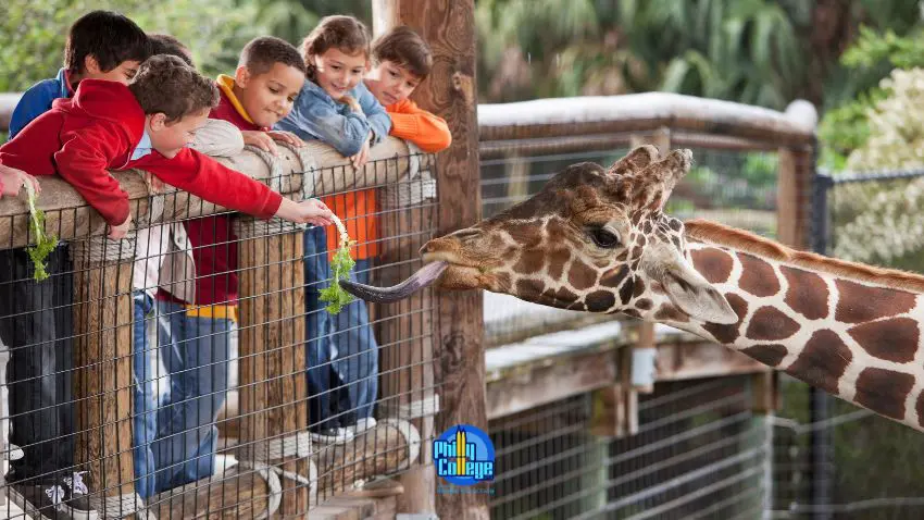 a group of children feeding a giraffe at the zoo